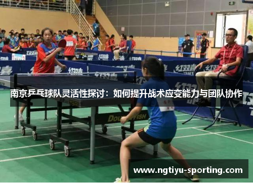 南京乒乓球队灵活性探讨：如何提升战术应变能力与团队协作