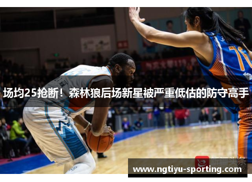 场均25抢断！森林狼后场新星被严重低估的防守高手